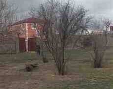 10 sot torpaq sahəsi, Saray qəs