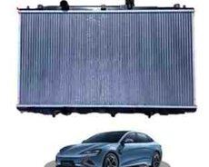 BYD radiatoru