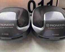 Dinamik Pioneer TS R1600