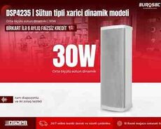 Sütun tipli xarici dinamik modeli DSPPA 4235 | 30W