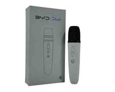 BYD karaoke mikrofonu