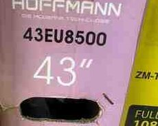 Televizor Hoffmann
