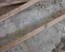 Taxta