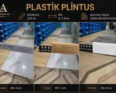 Plasmas Plintus