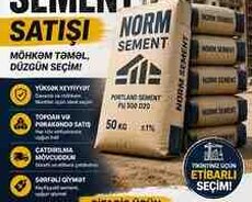 Norm sementi
