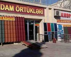 Dam örtüyü