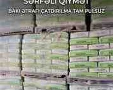Norm sementi
