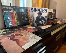 Vinil plstinkalar