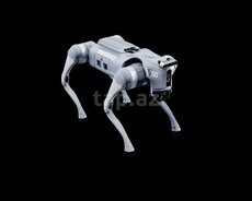 Unitree GO2 robot