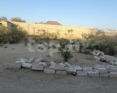 5 sot torpaq sahəsi, Nardaran qəs
