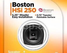 Dinamik Boston HSİ 250
