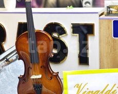 Skripka Vivaldi YV-1001