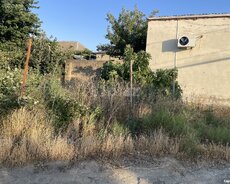 4.5 sot torpaq sahəsi, Saray qəs