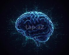 Süni intellekt proqramlarının hazırlanması
