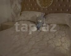 Qonaq və yataq otağı dəsti