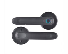 Smart (ağıllı) qapı kilidləri Smart Lock QL-S607