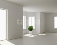 White box ilkin təmir işləri