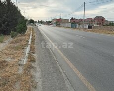 2.5 sot torpaq sahəsi, Saray qəs