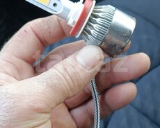 LED işıq