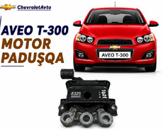 Chevrolet aveo motor paduşqa