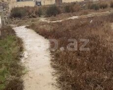 2500 sot torpaq sahəsi, Saray qəs