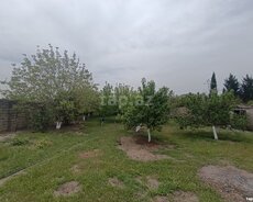Bağ evi, Buzovna qəs