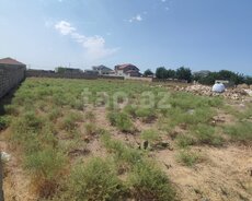 5 sot torpaq sahəsi, Novxanı yolu