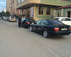 Alpina təkərləri R19