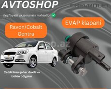Ravon, Chevrolet Cobalt, Daewoo Gentra EVAP sensoru