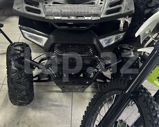 Kvadrosikl ATV, 2024 il
