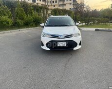 Toyota Corolla, 2019 icarəsi