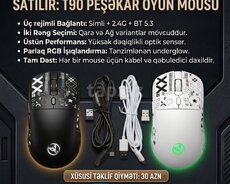 Kompüter siçanı