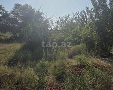 2 sot torpaq sahəsi, Saray qəs
