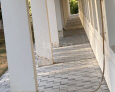 Penaplastlar