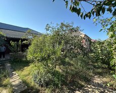 Həyət evi, Binəqədi qəs