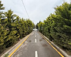 12 sot torpaq sahəsi, Şüvəlan qəs