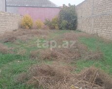 3000 sot torpaq sahəsi, Südçülük qəs