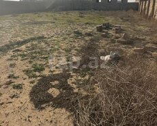 8 sot torpaq sahəsi, Nardaran qəs