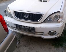 Hyundai Terracan, 2001 il
