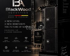 BlackWood Acoustics Line Array