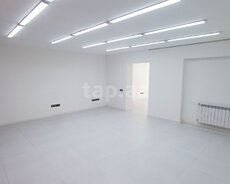 Ofis icarəyə verilir, 8 Noyabr pr