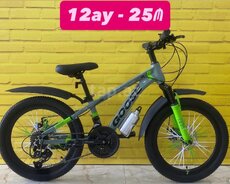 Velosiped 20 Goose
