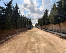 36 sot torpaq sahəsi, Şüvəlan qəs