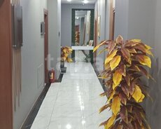 Ofis icarəyə verilir, Azadlıq m