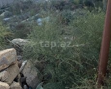 2.3 sot torpaq sahəsi, Badamdar qəs
