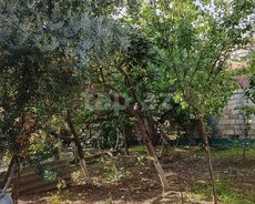 Həyət evi, Masazır qəs