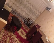2-otaqlı yeni tikili kirayə verilir, Bakıxanov qəs., 67 m