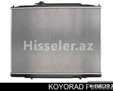 Honda pilot su radiyatiri