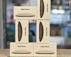 Apple Magic Mouse