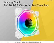 RGB Kuler Loving Cool B-120 Molex White